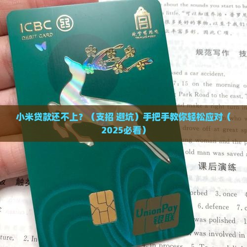 小米贷款还不出
