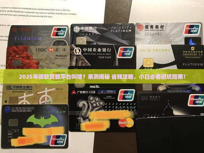 微软贷款平台叫什么 微软贷款平台叫什么