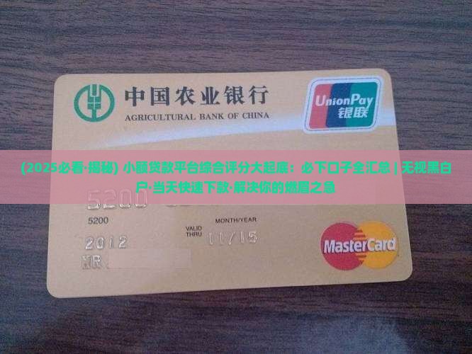 小额贷款平台必下口子