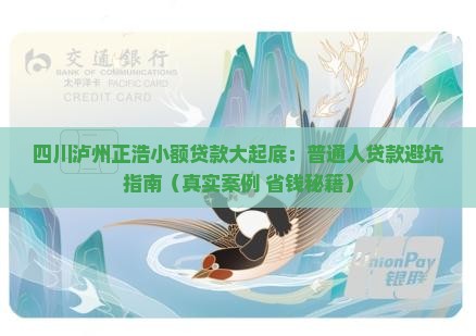 四川泸州正浩小额贷款