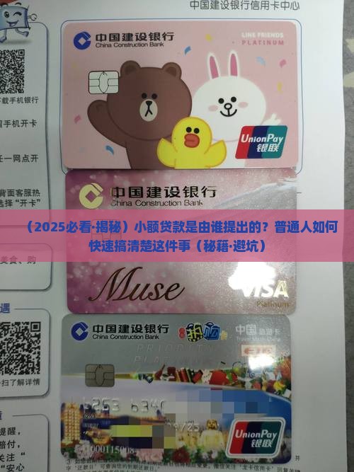 小额贷款由谁提出