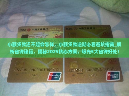 小额贷款还不起会怎样