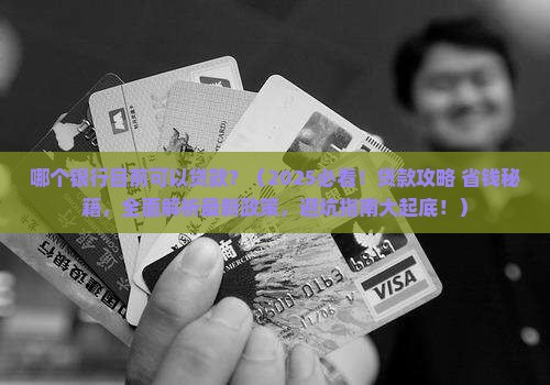 哪个银行目前可以贷款