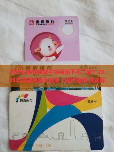 各种贷款平台下不了款