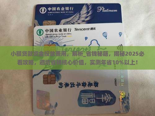 小额贷款资金投放费用