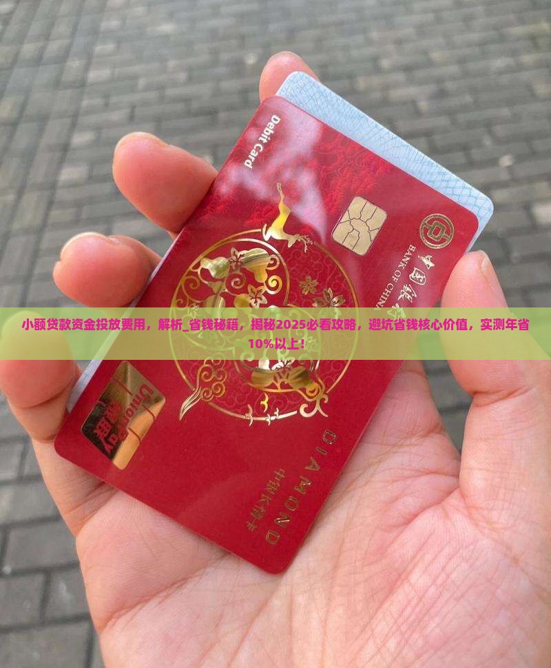 小额贷款资金投放费用