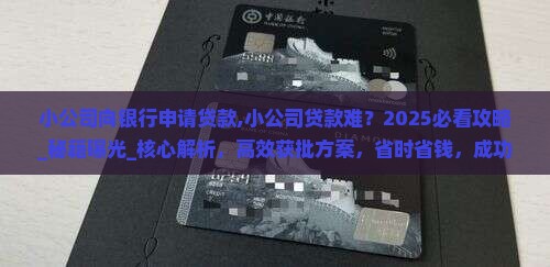 小公司向银行申请贷款