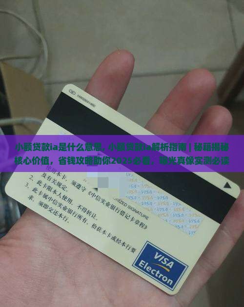 小额贷款ia是什么意思