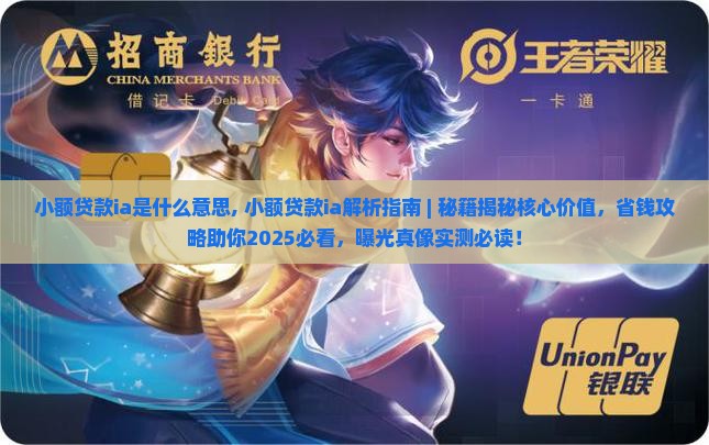 小额贷款ia是什么意思