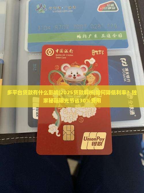 多平台贷款有什么影响