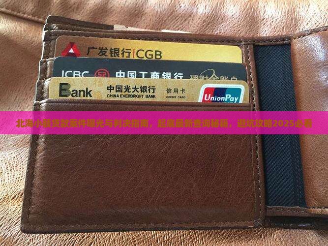 北海小额贷款案件
