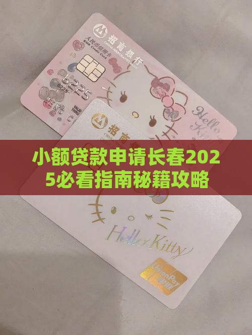 小额贷款怎么办长春