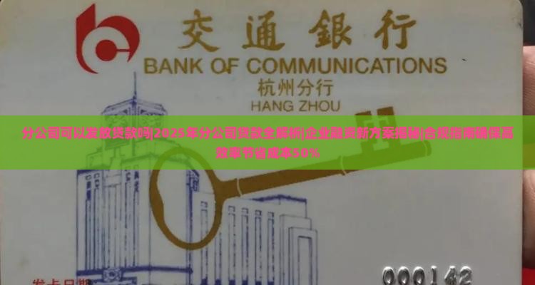 分公司可以发放贷款吗