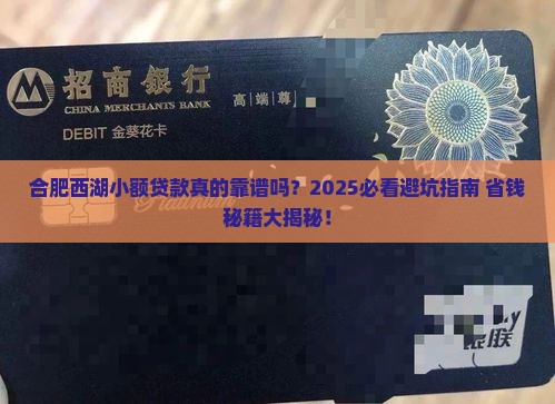 合肥西湖小额贷款