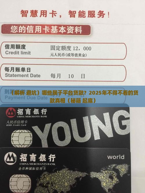 哪些属于平台贷款