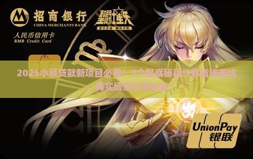 小额贷款新项目