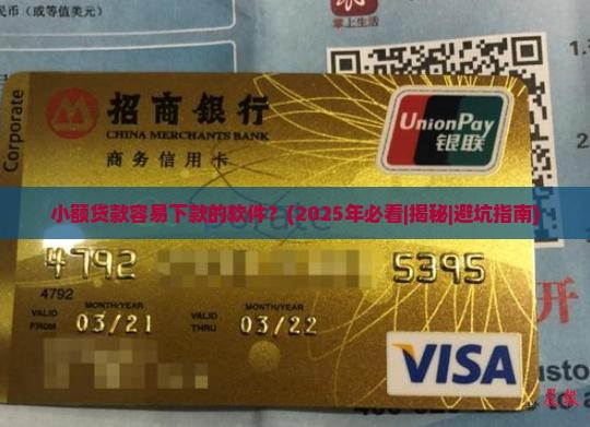 小额贷款容易下款的软件