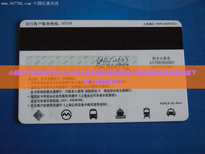 小额必下的贷款平台