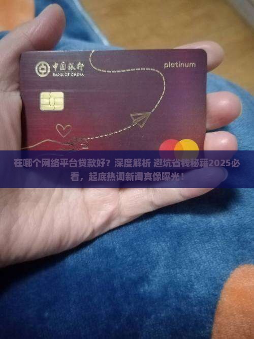 在哪个网络平台贷款好