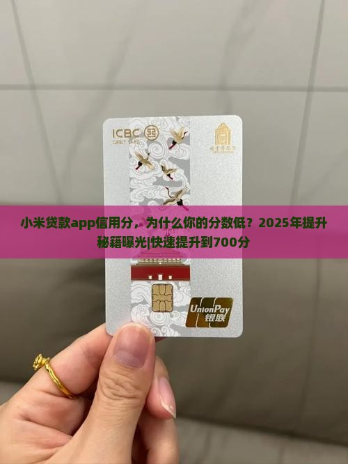 小米贷款app信用分
