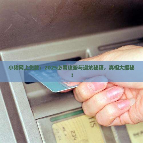 小猪网上贷款