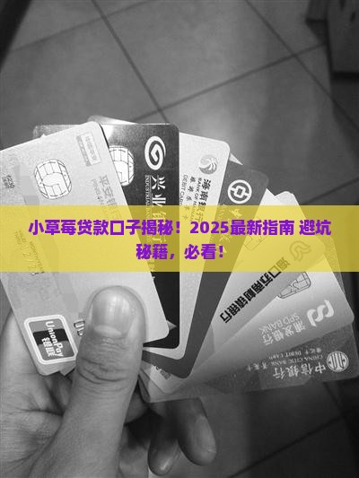 小草莓贷款系列口子