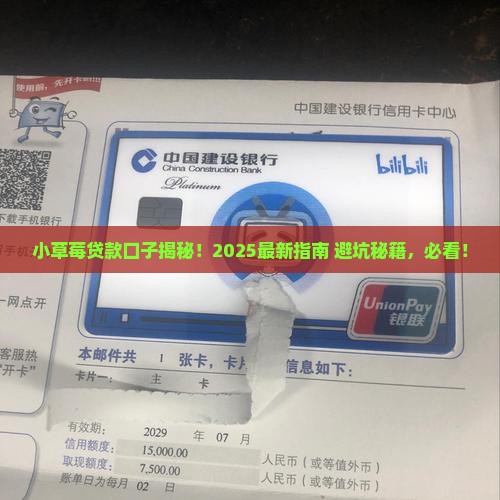 小草莓贷款系列口子
