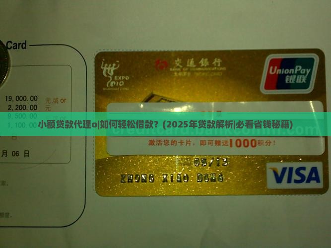 小额贷款代理o