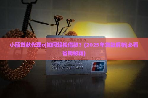 小额贷款代理o