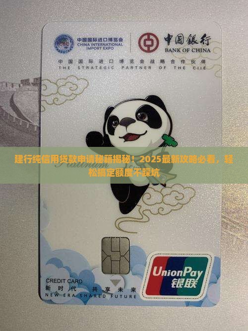 建行纯信用贷款需要什么条件
