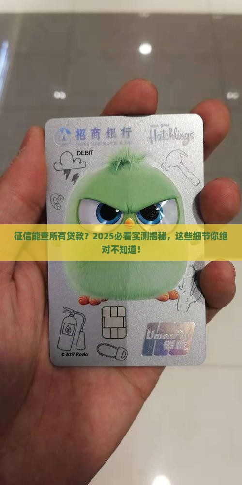 征信能查所有贷款吗 征信能查所有贷款吗