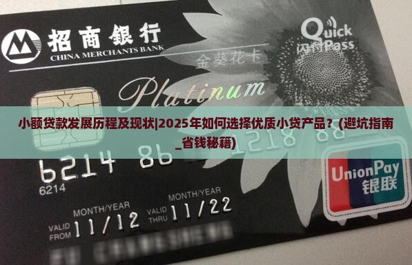 小额贷款发展历程及现状