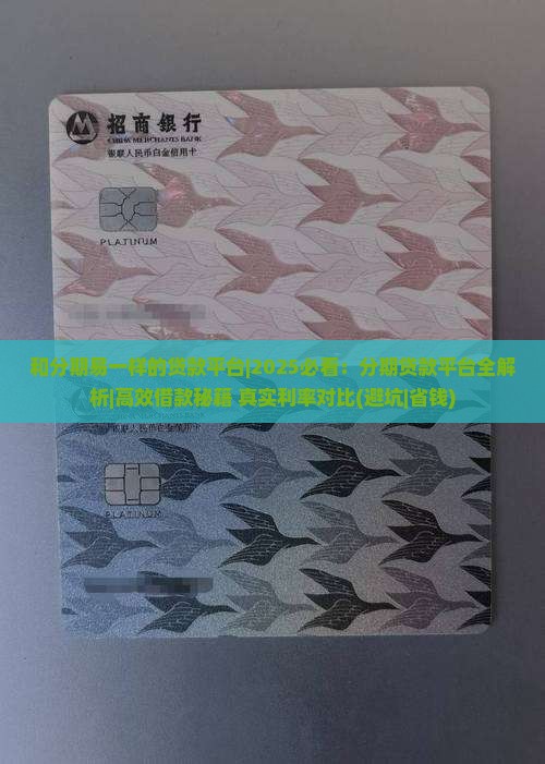 和分期易一样的贷款平台