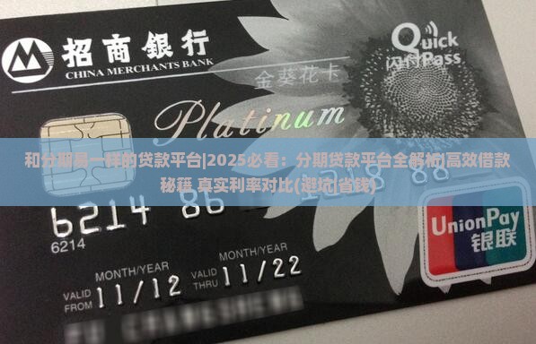和分期易一样的贷款平台
