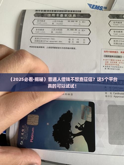 哪个贷款平台不查征信