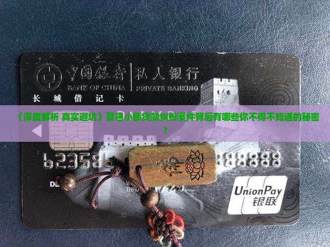 夏邑小额贷款纠纷案件
