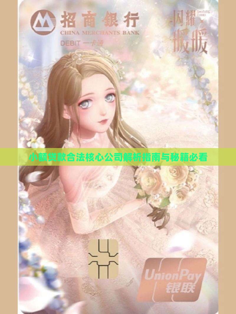 小额贷款有合法的吗