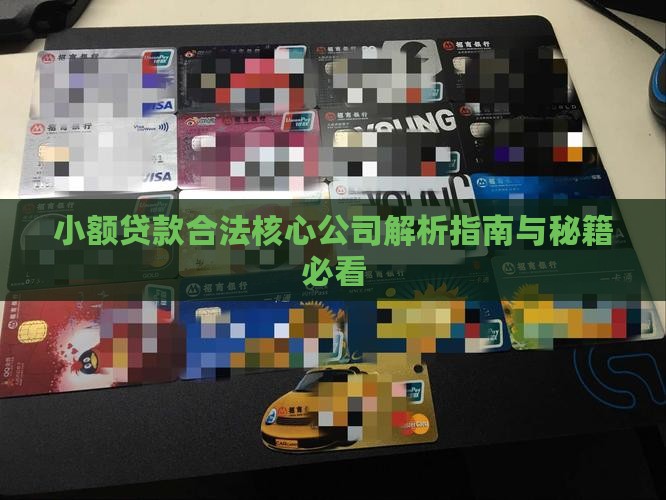 小额贷款有合法的吗