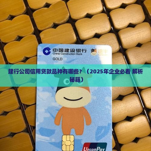 建行公司信用贷款品种