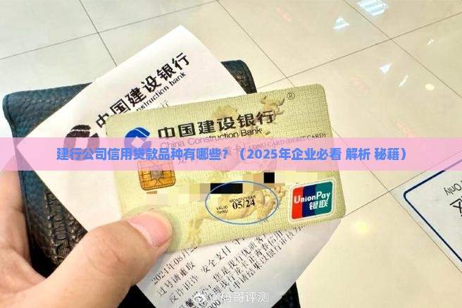 建行公司信用贷款品种