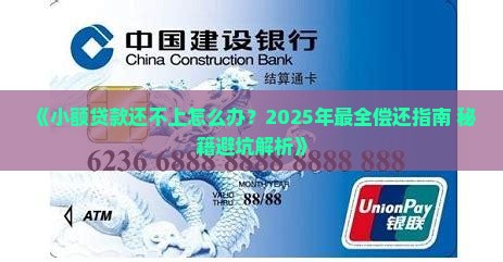 小额贷款后是没能力还