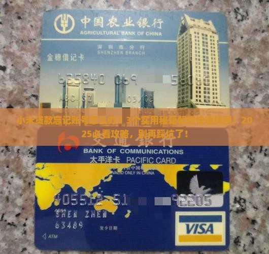 小米贷款忘记账号