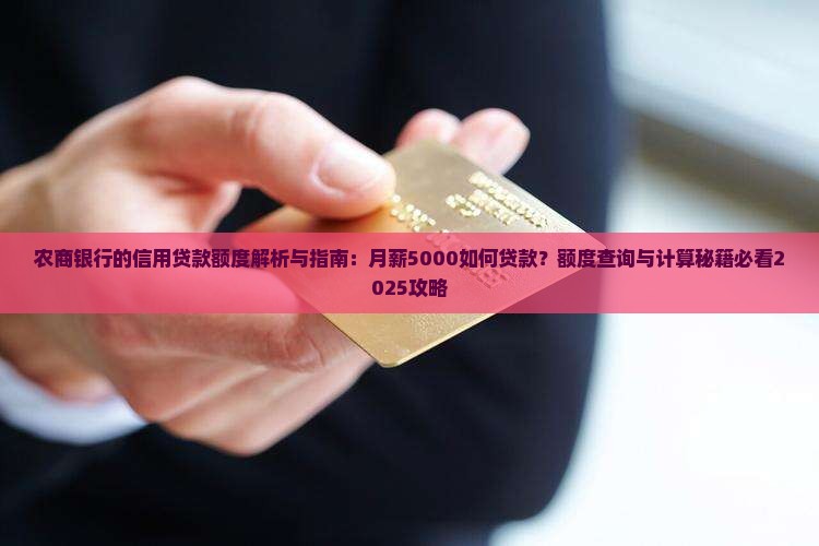 农商银行的信用贷款额度