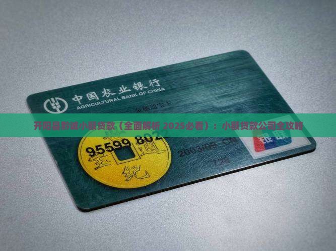 开阳县黔诚小额贷款