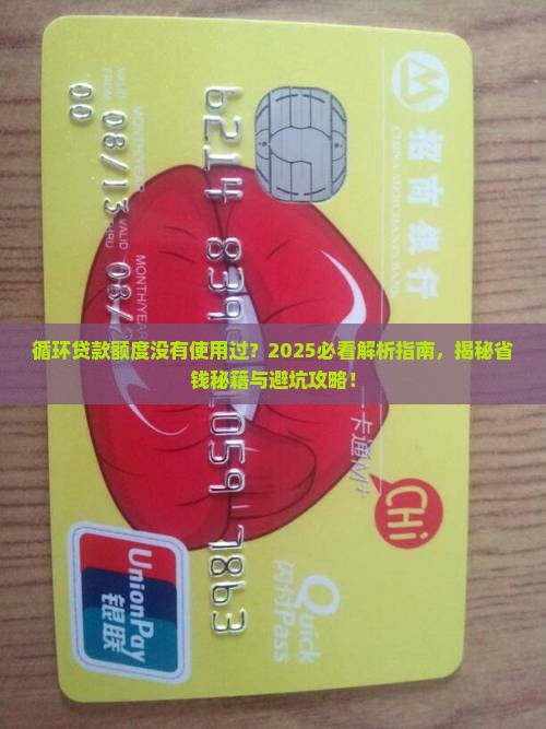 循环贷款额度没有使用过