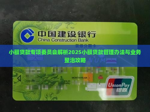 小额贷款专项委员会