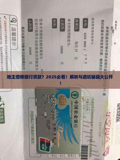 地主借粮银行贷款