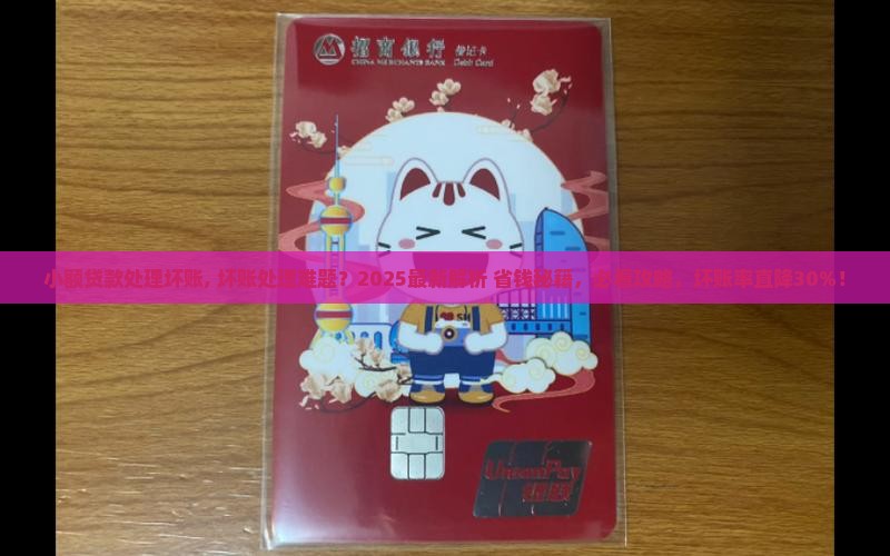 小额贷款处理坏账