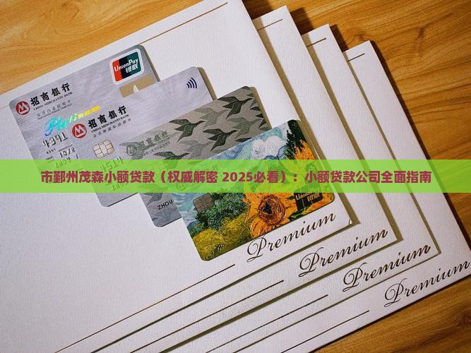 市鄞州茂森小额贷款