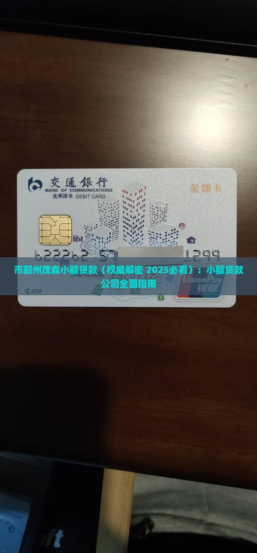 市鄞州茂森小额贷款